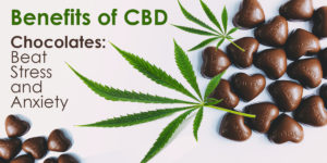 CBD Benefits: Relief from Stress and Anxiety