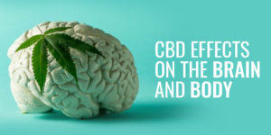 Photo of brain with hemp leaf explaining the CBD Effects On The Brain And Body