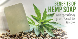 hemp soap