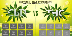 CBD vs THC