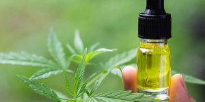 cbd oil