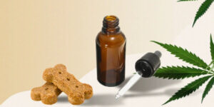 cbd-for-dogs