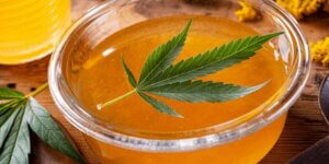 cbd-honey