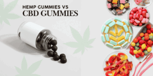 hemp gummies vs cbd gummies