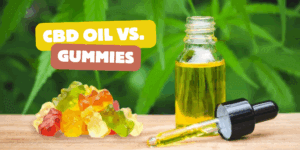 CBD Oil Vs. Gummies