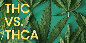 THC vs THCA