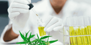 CBD Research