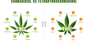 CBD VS THC BLOG