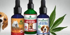 CBD for Pets