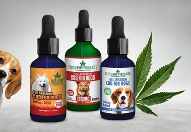 CBD for Pets