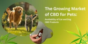 cbd-for-pet-cbd