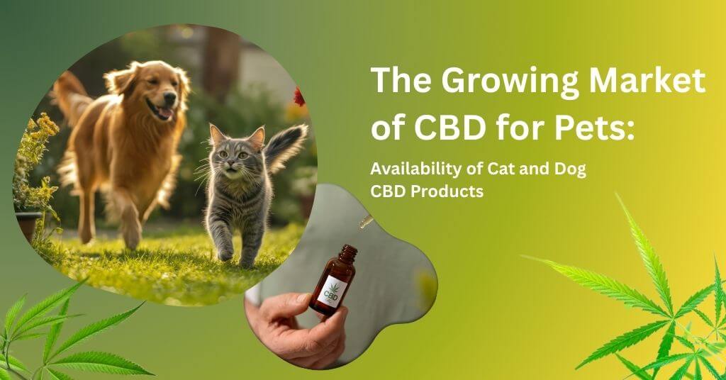 cbd-for-pet-cbd