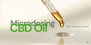 micodosing cbd oil