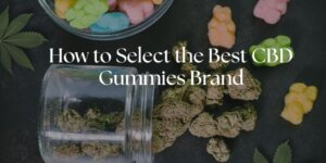 best cbd gummies