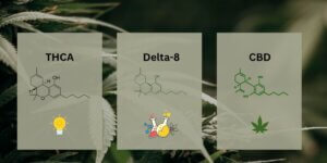 THCA vs DELTA-8 vs CBD