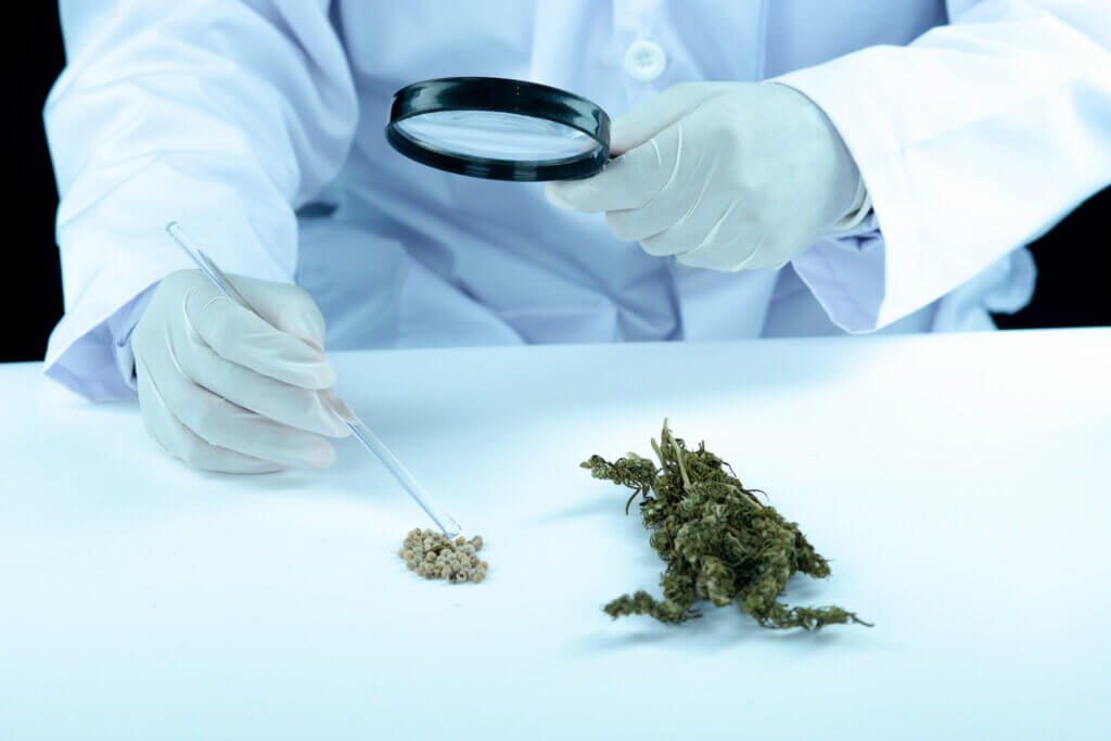 medical THCa
